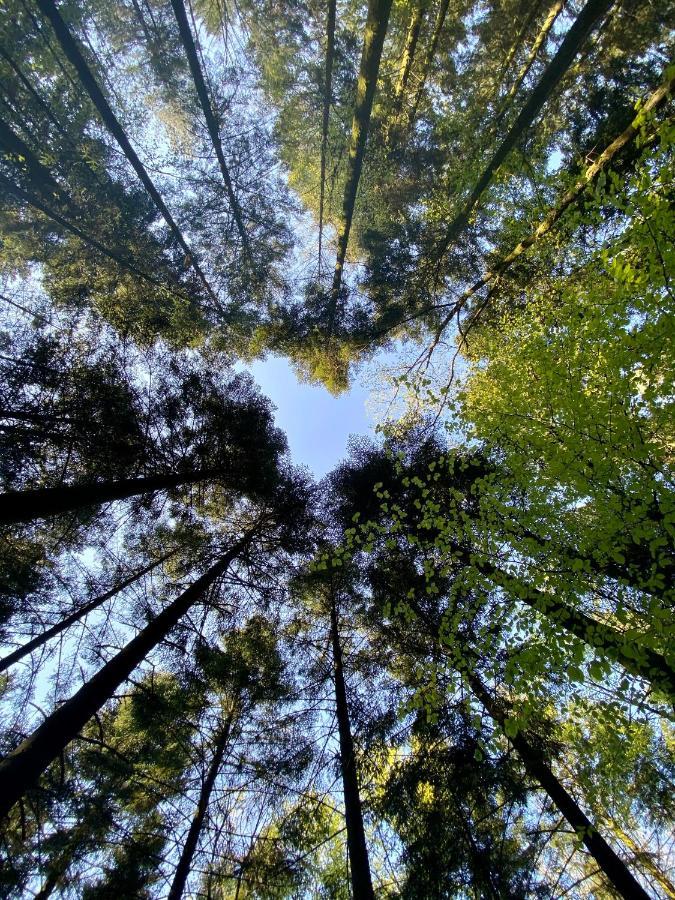 Camping De La Foret Seasonova Sillé-le-Guillaume Exteriér fotografie