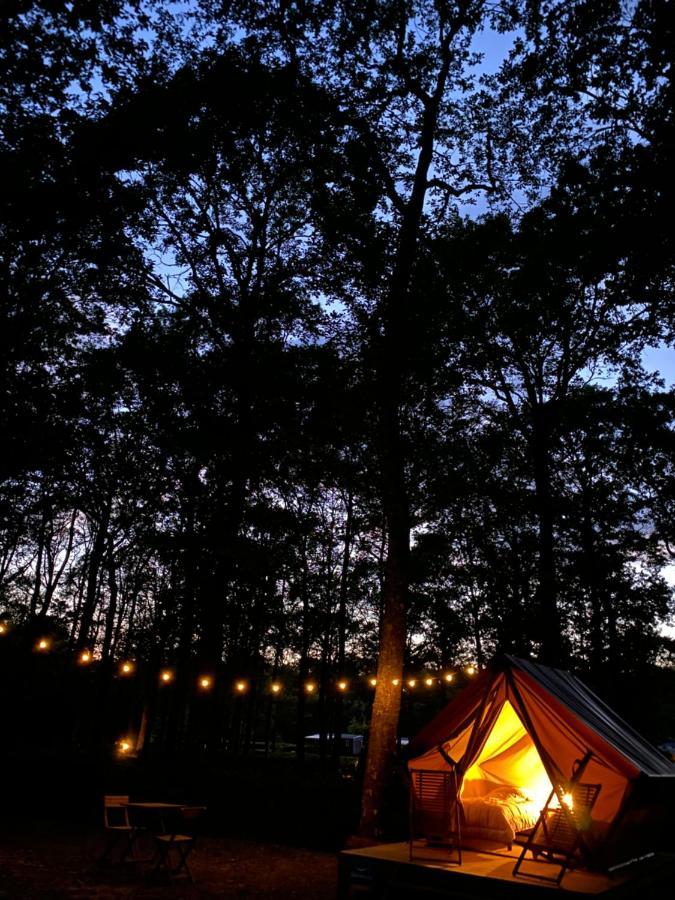 Camping De La Foret Seasonova Sillé-le-Guillaume Exteriér fotografie